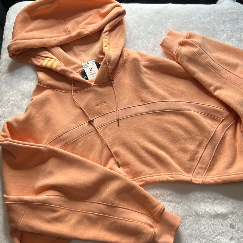 Ivy Park Hoodie